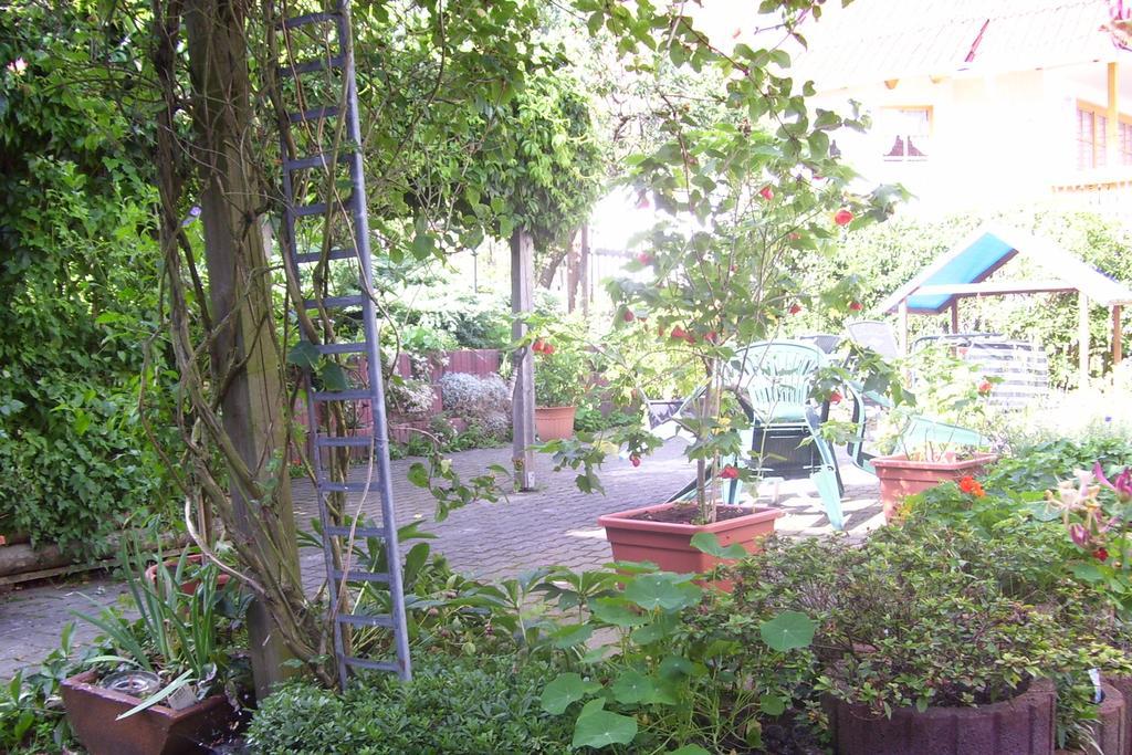 Ferienwohnung Dietlinde Bad Blankenburg Pokój zdjęcie